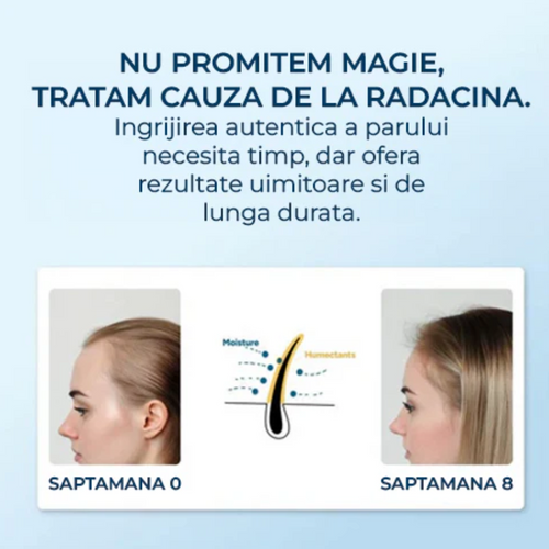Ser pentru Îngrijirea Părului predispus la Cădere cu Extract de Rozmarin și 2% Aminexil